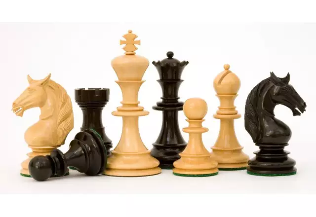 Pièces d'Échecs Licorne en Bois d'Ébène et Buis