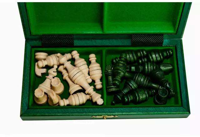 Jeu d’Echecs Pliable de Voyage en Bois avec Rangement 20 x 20 cm